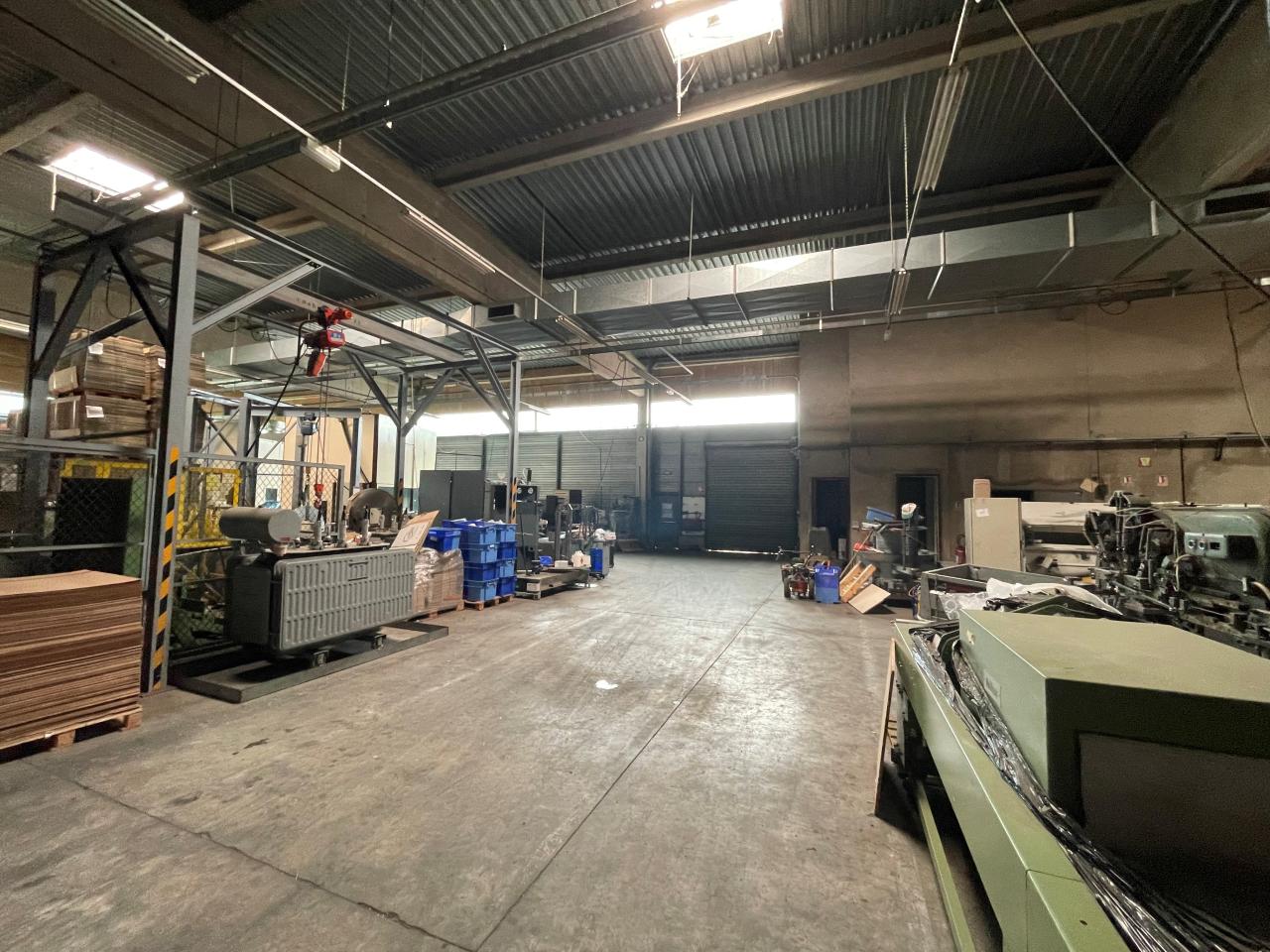 Local d'activité Otterswiller 39980m² Location local d'activité Otterswiller Bas-Rhin OLACT2425961 4
